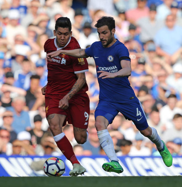 迷或许可以 迷或许可以