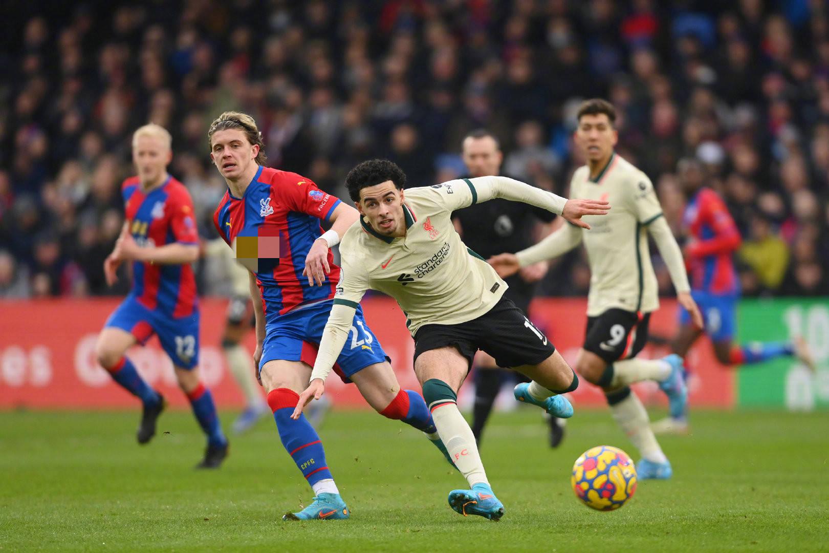 努力吸引了 努力吸引了